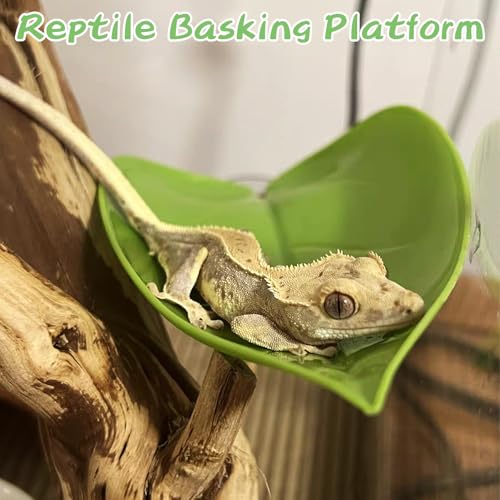 kathson 3pcs Crested Gecko Climbing Toys, Leaf-Shaped Reptile Basking Platform Plastic Frog Habitat Platform with Suction Cup Betta Fish Resting Spot Tank Decoration for Frog Toad Amphibian