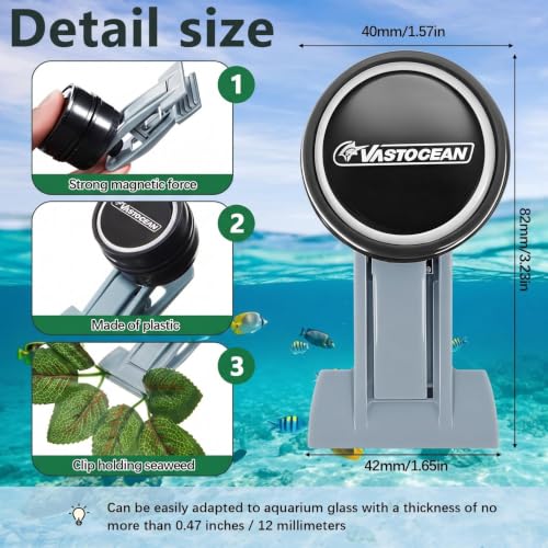 Blulu 2 Pcs Magnetic Seaweed Feeding Clips Saltwater Aquarium Tank Accessories Algae Magnet Seaweed Feeder for Fish and Aquatic Pets, Automatic Fish Feeder