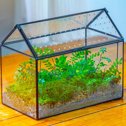 NCYP Glass Terrarium with Acrylic Lid, 10.2x5.9x8.2 Inches House Shape Glass Terrarium for Snails, Indoor Tabletop Decor, Handmade (Plants Not Included)