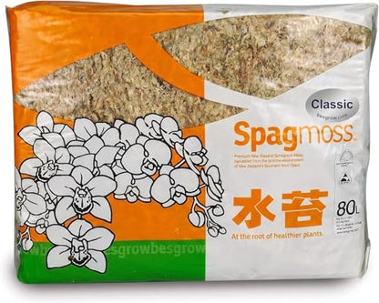 Premium New Zealand Sphagnum Moss, 1000g (80L When Hydrated) - Harvested in New Zealand's South Island, Dried and Long for Potted Plants, Orchids, Reptiles (AA Classic (4" Strands)) - size: AA Classic (4" Strands)
