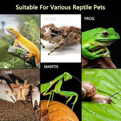 Jumping Spider Enclosure, Small Reptile Insect Terrarium, Spider Tank with Magnetic Door & All-Side Vent, Pre-Assembled Habitat for Spiderling, Mantis, Tarantula, Snail 4.7" * 4.7" * 7.8(Horizontal)