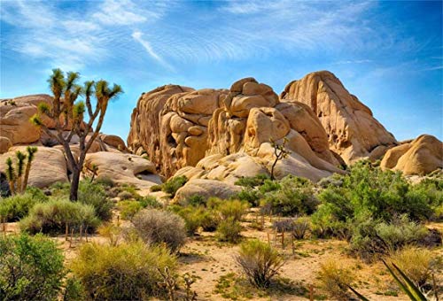Leyiyi 6x4ft Joshua Tree National Park Photography Backdrop Western Sky Desert Cowboy Weathering Rock Drought-Tolerant Plant Cactus Terrarium Background Aquarium Wallpaper Polyester Photo Studio Prop - color: Desert3, size: 6x4ft-P