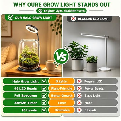 Desk Grow Light with Glass Terrarium, 3X Aperture | Full-spectrum LED, 3 modes, 10 brightness levels, USB power, 28-43 cm pole, 90° rotating head, for moss and succulents - size: 3X magnification