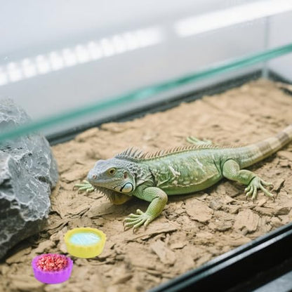 21 Pack Crested Gecko Food and Water Dish, Silicone Reptile Food Bowl, Gecko Tank Accessories for Hermit Crab, Tarantula, Isopods and Lizard, 7 Colors