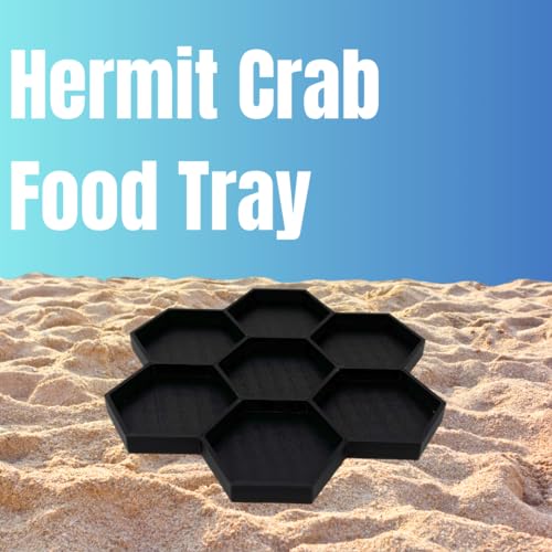 Hermit Crab Feeder Dish | 7 Tray Dish for Crab or Snail Feeding | Mix & Match Crab Food | Made in USA (Black, Hexagon) - color: Black