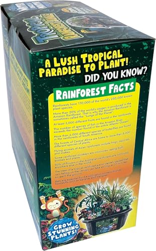 Toys by Biosphere Terrarium Starter Kit with Complete Supplies to Create Your Own Jungle! Indoor Plants for Home Displays and Gardens (Tropical Rainforest Jungle) - style: Tropical Rainforest Jungle