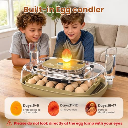 Incubators for Hatching Eggs,24 Eggs Capacity with Automatic Turning, Accurate Temp & Humidity Control, Egg Candler, Air Vent, 360° Viewing for Chicken, Duck, Quail & Goose Eggs