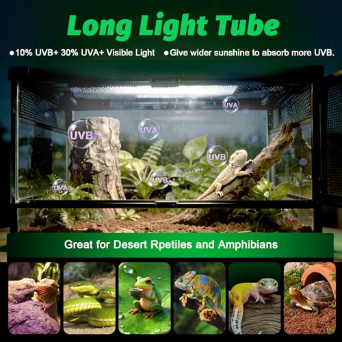 UVB Light for Reptiles Bearded Dragon, T8 UVB Reptile Light Fixture HO UVB Bulb Lighting Combo Kit 10.0 15W UVA UVB Reptile Light Bulb Terrarium Lamp Tube Bar for Snake Gecko Turtle Lizard, 18 Inch - size: T8-18Inch