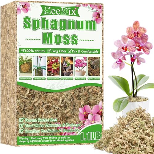 1.1 lb Sphagnum Moss for Plants Indoor, Natural Long Fiber Sphagnum Orchid Moss Bulk for Carnivorous Plants, Succulents, Monstera, Flower & Reptile Terrariums Habitats (Expands to 25 qt) - size: 1.1 pounds