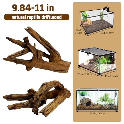 Hamiledyi Reptile Wood Branches 11.8" Length Snake Climbing Branch Lizard Habitat Natural Wood Decoration Bearded Dragon Climbing Accessories for Leapord Gecko