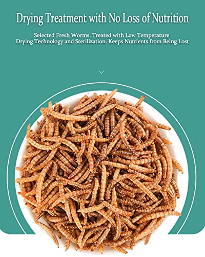 Reptile Food Dried Mealworms Pet Worms Food for Bearded Dragon, Lizard, Turtles, Chameleon, Monitor, Frog, Sugar Glider, Chickens, Birds, Hamsters and Hedgehogs (3.5 OZ)