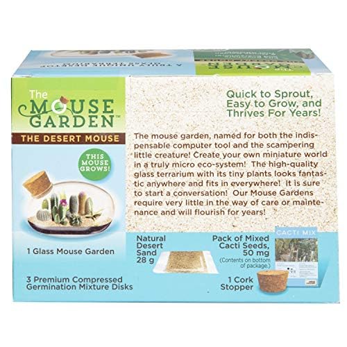 Mini Office Cactus Glass Terrarium Starter Kit with Complete Supplies - The Desert Mouse Tiny Garden - Fun to Grow, Low Maintenance - Perfect for The Indoor Office Or Home Tabletop or Desk!