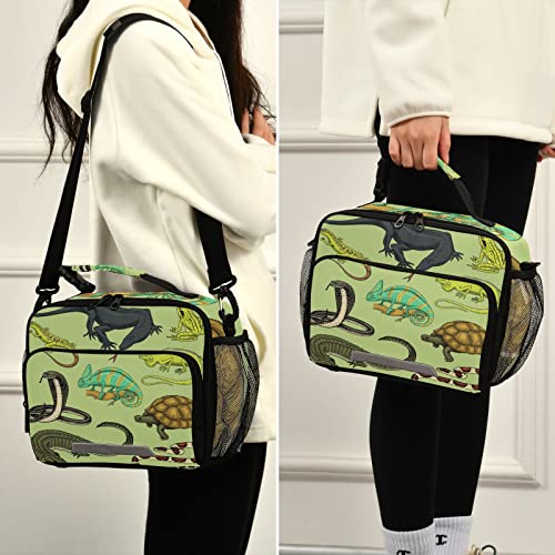 Snakes Lizard Chameleon and Turtle Animal Lunch Bag, Cooler Lunch Tote Box Insulated Lunch Bags Food Container for Men Women Kids