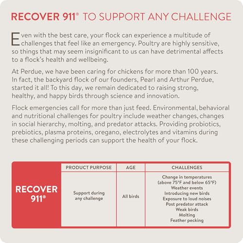 Recover 911, Severe Stress Probiotic Water Supplement for Chickens with Electrolytes, Prebiotics & Oregano, Molting, Extreme Weather, and Predator Attack Support, 8 oz (Pack of 2) - size: 8 Ounce (Pack of 2), style: Recover 911