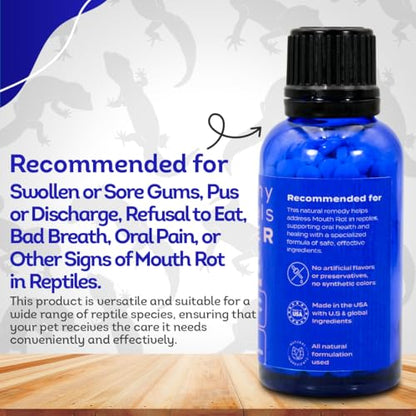 HealthyAnimals4Ever HA4E - Reptile Oral Health Support - Natural Mouth Rot Relief & Oral Hygiene Formula - Supports Gum Health, Comfort & Healing - 300 Tablets