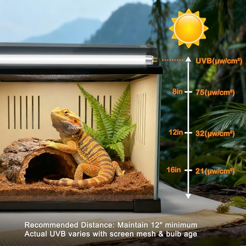 T5 10.0 UVB Light Bulb for Reptiles, 8W HO UVB Reptile Lamp Bulb, 2 Pack 12 Inch UVA UVB Fluorescent Lamp Tube for Bearded Dragon Leopard Gecko Tortoise Lizards - size: 8W-12INCH