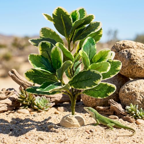 EupHHonycs Reptile Plants Artificial Leaves Reptile Tank Decorations | Fake Plants for Reptiles Terrarium for Bearded Dragon Lizard Snake Chameleon Geckos Amphibian Habitat Terrariums Decor