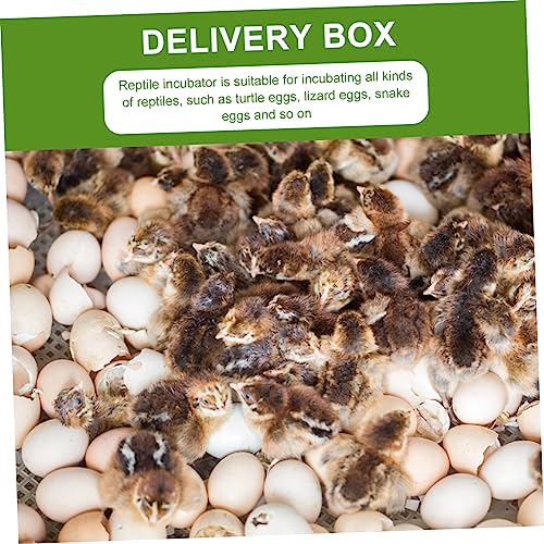 GANAZONO 2Pcs Compartment Reptile Egg Incubator Tray Professional Hatchery Box for Tortoise Lizard Transparent Design for Easy Observation Pet Supply