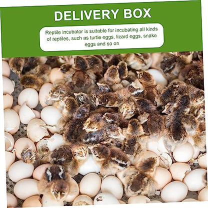 GANAZONO 2Pcs Compartment Reptile Egg Incubator Tray Professional Hatchery Box for Tortoise Lizard Transparent Design for Easy Observation Pet Supply