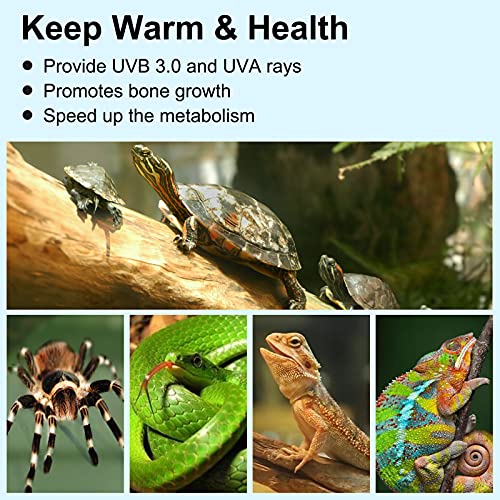 Reptile Heat Lamp, Lamp for Aquarium Turtle Tank with 25w+50w Basking Spot Light Bulbs and 360° Swivel Clamp for Turtle, Snake, Lizard, Cockatoo, Chameleon Etc, Yellow - color: Lamp Holder A+2 Bulbs