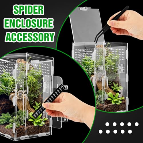 Jumping Spider Enclosure Kit with Thermometer & Tweezers | 7.87"×4.7"×4.7" Large Acrylic Terrarium with Magnetic Door & All-Side Ventilation,Reptile Enclosure for Spiderling