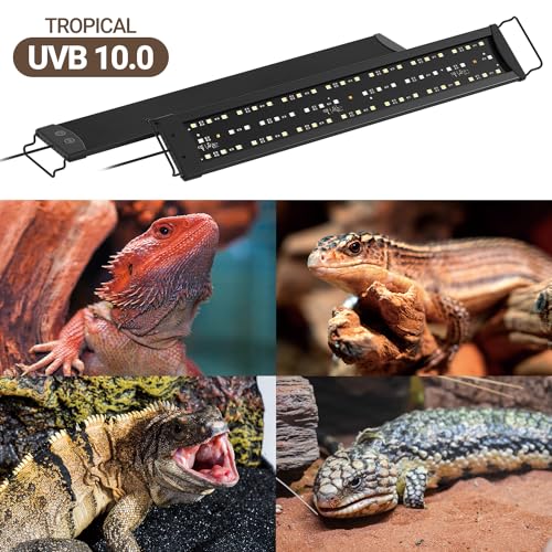WACOOL TERRA Dimming LED UVB Reptile Light, 24“ LED Reptile Light Bar with Brightness Adjustment & 3 Light Modes, UVB 10
