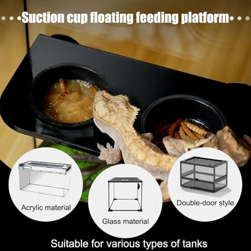 Gecko Feeding Ledge, Hanging Double Reptile Feeder Bowl with Suction Cup, Reptile Food & Water Dish for Arboreal Reptiles, Tree Frogs, Geckos, Beetles