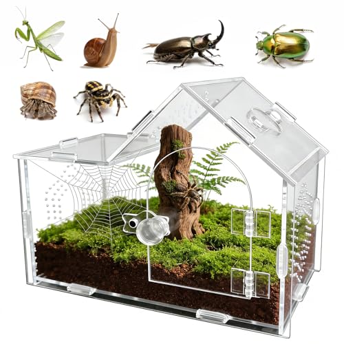Acrylic Jumping Spider Enclosure with Magnetic Lock – Clear Ventilated Terrarium Box for Tarantulas, Geckos, Mantises, Hermit Crabs, Snails, and Other Small Pets (7.9 x 4 x 6 Inch) - size: 7.9" x 4" x 6"