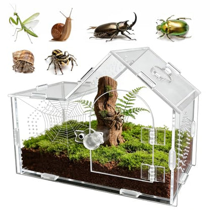 Acrylic Jumping Spider Enclosure with Magnetic Lock – Clear Ventilated Terrarium Box for Tarantulas, Geckos, Mantises, Hermit Crabs, Snails, and Other Small Pets (7.9 x 4 x 6 Inch) - size: 7.9" x 4" x 6"
