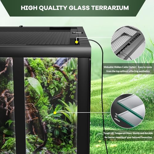 24"X18"X18" Reptile Terrarium, Front Opening Reptile Glass Tank with Mesh Top & Lock, Vertical Arboreal Enclosure for Jumping Spiders, Tarantulas, Frogs & Small Geckos Black