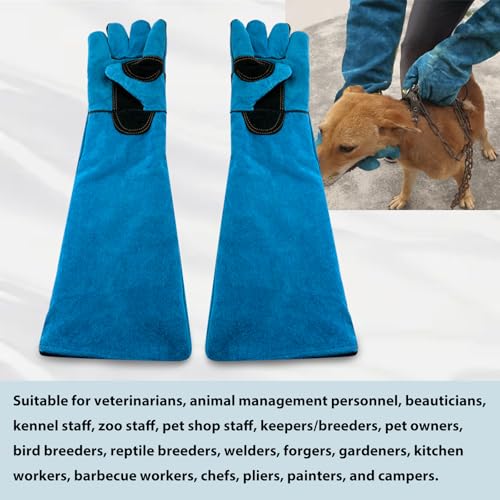 23.43" Animal Handling Gloves,Cowhide Bite Proof, Fits Dogs/Cats | 23.43" Extra Long Forearm Protection, Snake & Scratch Resistant, Reinforced Leather, Fits Reptiles, Birds & Falconry - color: Blue（23.43"）