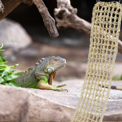 3 Pieces Bearded Dragon Hammock Reptile Hammock Lizard Climbing Lounger with 12 Metal Buckles 12 Suction Cups Tank Accessories Jungle Toys for Hermit Crab Gecko Snake Iguana Amphibian Habitat