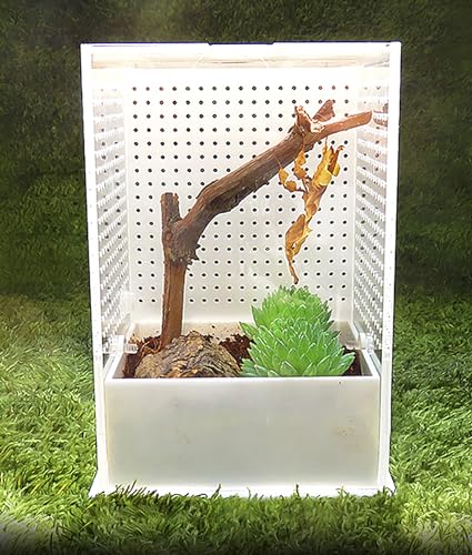 OMEM Reptile Breeding Box, Insect Incubator, for Orchid Mantis, African Phantom Mantis, Reptile Resting Habitat and Entertainment