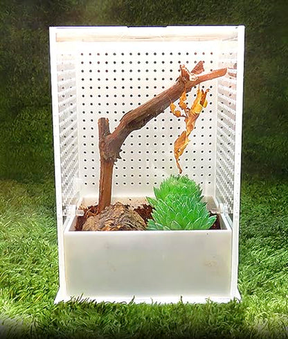 OMEM Reptile Breeding Box, Insect Incubator, for Orchid Mantis, African Phantom Mantis, Reptile Resting Habitat and Entertainment