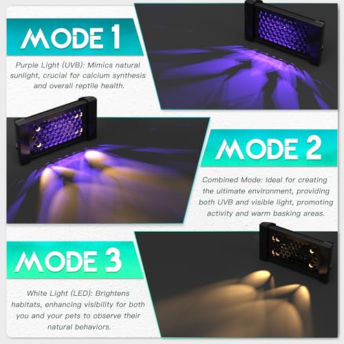 Dimmable LED Reptile UVB Lamp, 8000 Hours UVB Duration for Much Longer Lifespan, Adjustable 4/8/12-Hour Cycles, Suitable for Lizard and Chameleon, 12W, L Size - size: 12INCH