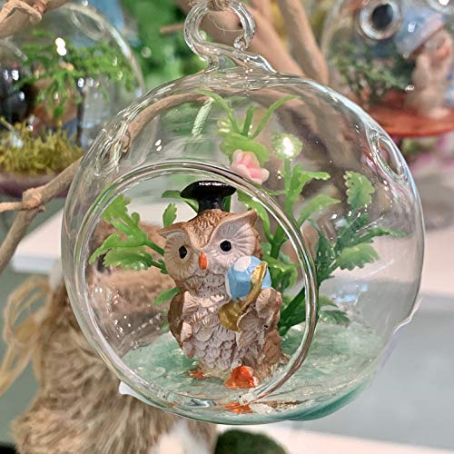 WGV Hanging Terrarium Globe, Width 3", Height 4", DIY Air Succulent Planter, Clear Glass Vase Orb with Flat Bottom, Candle Holder for Windowsill Outdoor Garden Decor, 1 Piece - size: 3" Flat Bottom