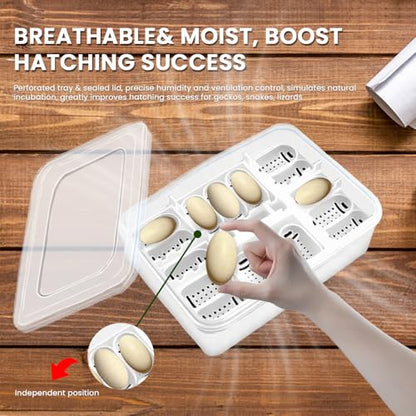 16 Grids Reptile Egg Incubation Box, Plastic Independent Grid Egg Tray, Hatching Container for Turtle Lizard Gecko Snake Eggs