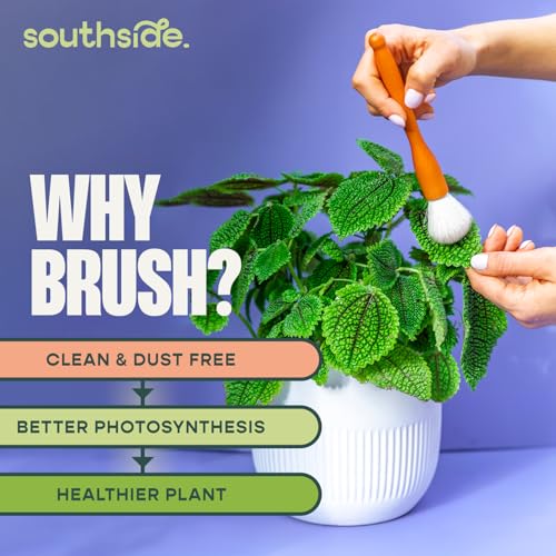Southside Plant Cactus & Succulent Plants Cleaning Brushes - Wooden Handles w/Soft Goat Hair Bristles - Garden Cleaning Tools, Gentle on Plants, 7" & 3.2" Sizes - Pack of 2