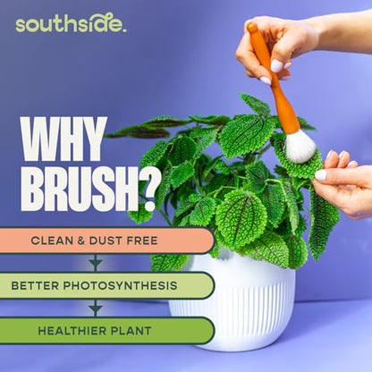 Southside Plant Cactus & Succulent Plants Cleaning Brushes - Wooden Handles w/Soft Goat Hair Bristles - Garden Cleaning Tools, Gentle on Plants, 7" & 3.2" Sizes - Pack of 2