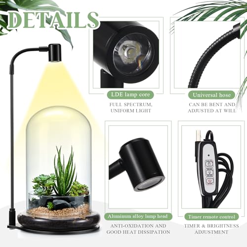 Plant Terrarium Kit with Grow Light, 4.8'' x 7.87'' Glass Dome Terrarium with Air Hole and Base, Succulent Air Planter Fern Moss Micro Landscape Vase for Home Office Tabletop Decoration