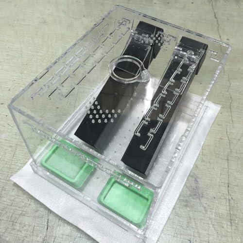 Crickets Breeding Box Equipped with Food Water Basins and Absorbent Cotton Breeding Case