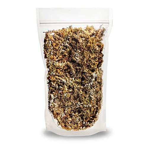 Sphagnum Moss Potting Mix for Carnivorous Plants, Moss and Perlite Blend for Potting Venus Fly Traps, Sarracenia, Pitcher Plants - 75% Sphagnum Moss + 25% Perlite - Made in USA - 4 Quart - size: 4 Quart Bag, style: Carnivorous Plant Soilless Mix