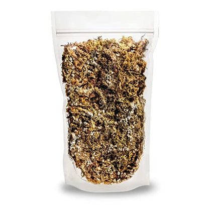 Sphagnum Moss Potting Mix for Carnivorous Plants, Moss and Perlite Blend for Potting Venus Fly Traps, Sarracenia, Pitcher Plants - 75% Sphagnum Moss + 25% Perlite - Made in USA - 4 Quart - size: 4 Quart Bag, style: Carnivorous Plant Soilless Mix