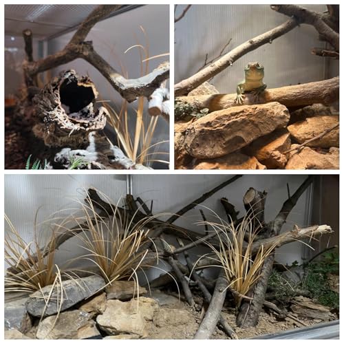 120 Gallon Bearded Dragon Tank, 48x24x24 Reptile Enclosure, Silver | 4x2x2 reptile tank, Aluminum Frame, Tempered Glass Sliding Doors, Insulated Panels & Cable Port - color: Silvery