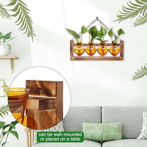 Plant Propagation Stations Heart Plant Terrarium Kit | Gift for Women Plant Lover Glass Vases - color: Amber