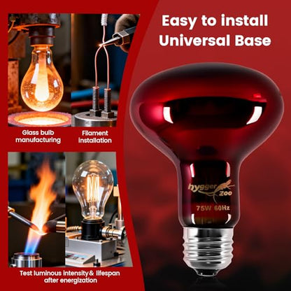 75W Infrared Heat Lamp Bulbs – 2-Pack Red IR Basking Light for Reptile & Amphibian, Silent Night-Time Heating, E26 Base, Bearded Dragon,Lizard,Turtle,Chicken - color: Red, size: 75W