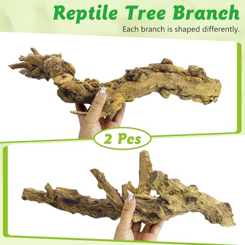 Reptile Branch Decor 2 Pcs Snake Climbing Wood Branches Lizard Habitat Decorations Terrarium Natural Forest Tree Trunk Ornament for Bearded Dragon Geckos Chameleon Frog