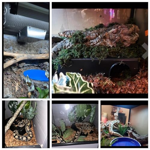 Amypet Large Snake Hides for Ball Pythons and Different Reptiles Durable Material Easy to Clean 16.5 x10.6 x 4.3inch (XXL) - size: XXL