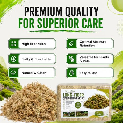 1.1LB Natural Long Fiber Sphagnum Moss Compressed Brick Expands to 30QT, Premium Orchid Moss for Repotting, Carnivorous Plants, Propagation, Moss Pole, Terrarium, Indoor Outdoor Gardening - size: 1.1LB