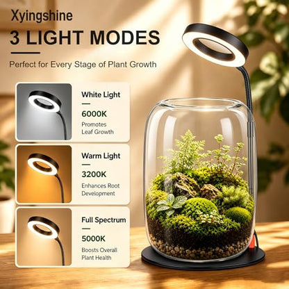 Desk Grow Light with Glass Terrarium, 5X Aperture | Full-spectrum LED, 3 modes, 10 brightness levels, USB power, 28-43 cm pole, 90° rotating head, for moss and succulents - size: 5X magnification